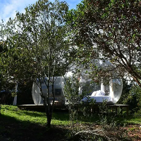 Ancestros Ecoparque-2